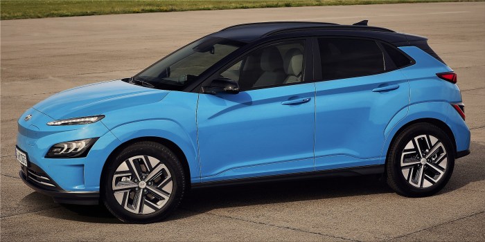 Hyundai electric car price