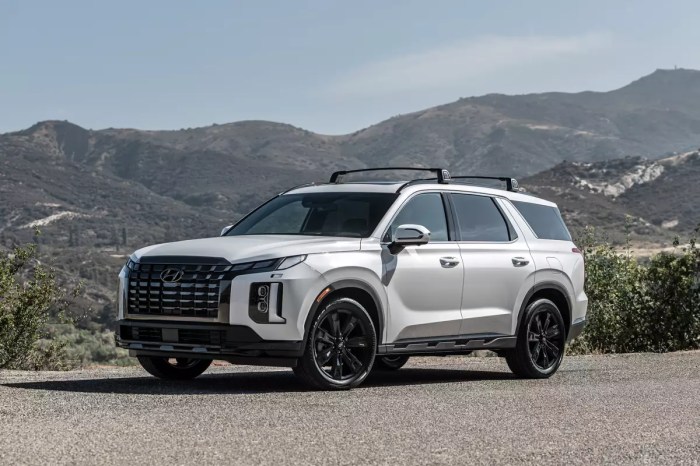 2024 hyundai palisade xrt